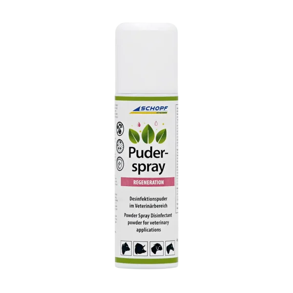 Puder-Spray