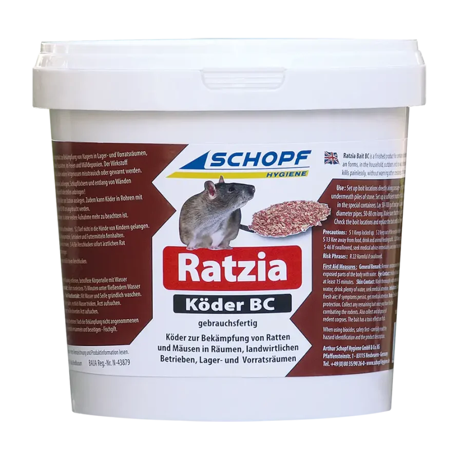 ratzia-k-der-bc-schnelle-ratten-m-usebek-mpfung