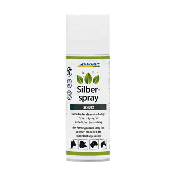 Silber-Spray