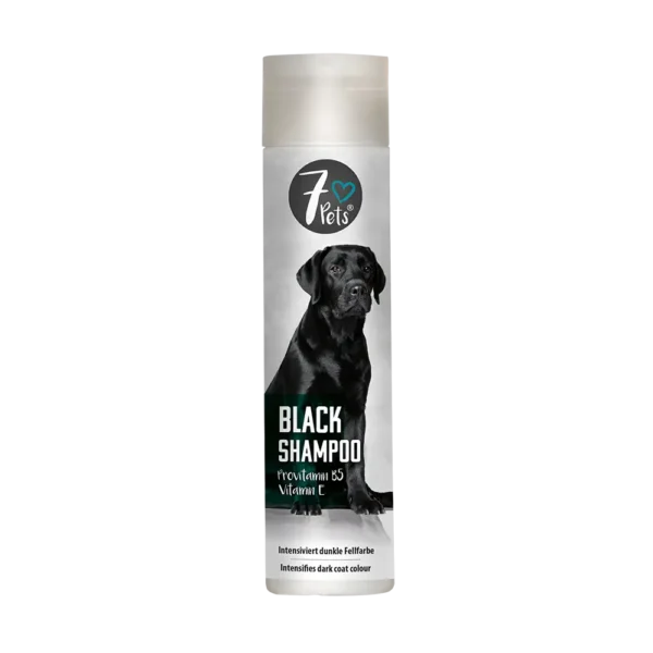 BLACK SHAMPOO