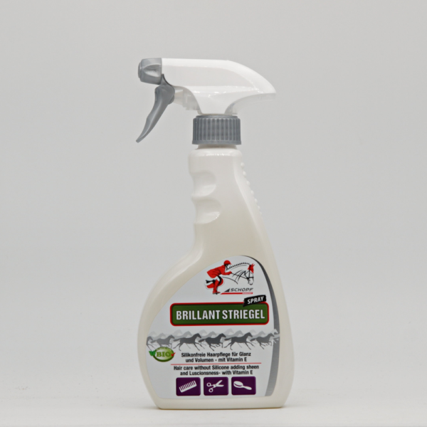 Shine BRILLANT STRIEGEL